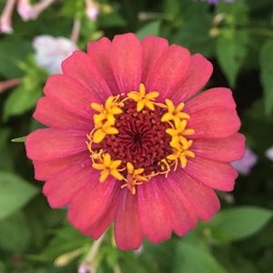 Meet your Posher, Jillian